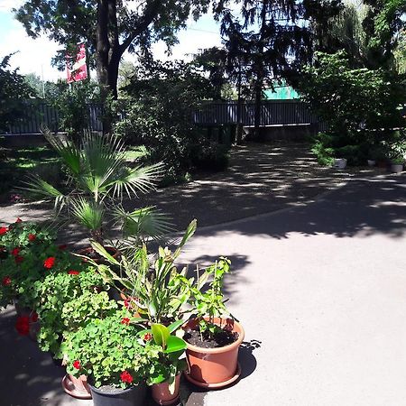 Orchidea Apartman Eger Extérieur photo